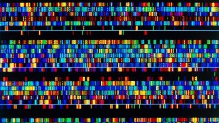 Computer-generated visualization of parts of the human genome sequence